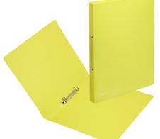 PAGNA Ringbuch 2-Ringe DIN A4 2.3 cm lindgrün
