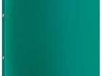 Viquel Ringbuch 2-Ringe DIN A4 2.5 cm grün