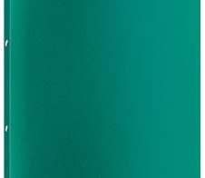 Viquel Ringbuch 2-Ringe DIN A4 2.5 cm grün