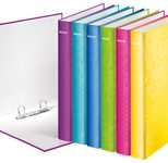 LEITZ Ringbuch 2-Ringe DIN A4 4 cm gelb