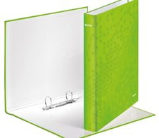 LEITZ Ringbuch 2-Ringe DIN A4 4 cm grün