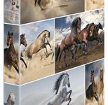 HERMA Ringbuch 2-Ringe DIN A4 3.5 cm Motiv