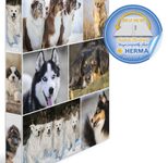 HERMA Ringbuch 2-Ringe DIN A4 3.5 cm Motiv