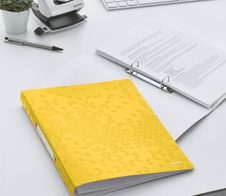 LEITZ Ringbuch DIN A4