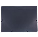 FolderSys Fächermappe DIN A4 7-Fach  schwarz