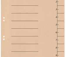 bene Trennblätter DIN A4 250 g/m² chamois