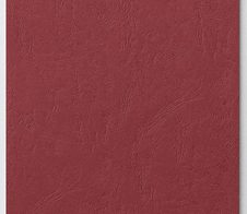 PAGNA Bewerbungsmappen Sprint DIN A4 rot