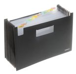 FolderSys Fächermappe DIN A4 12-Fach  schwarz