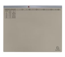 Exacompta Exaflex Premium Hängehefter kaufmännische Heftung DIN A4 grau