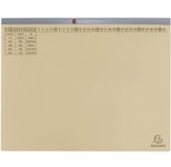 Exacompta Exaflex Premium Hängehefter Amtsheftung DIN A4 chamois