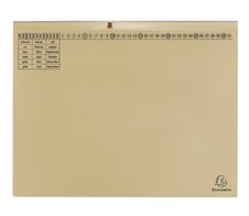 Exacompta Exaflex Premium Hängehefter Amtsheftung DIN A4 chamois