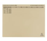Exacompta Exaflex Standard Hängehefter Amtsheftung / kaufmännische Heftung DIN A4 chamois
