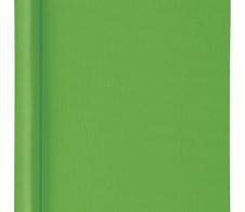 VELOFLEX Klemmhefter Velocolor DIN A4 grün