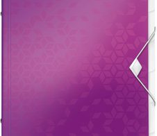 LEITZ Ordnungsmappe DIN A4 6-Fach  violett