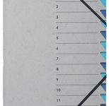 PAGNA Ordnungsmappe DIN A4 12-Fach  grau