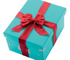 LEITZ Aufbewahrungsbox Click&Store 30,0 l - 32,0 x 36,0 x 31,0 cm eisblau