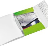 LEITZ Ordnungsmappe DIN A4 12-Fach  grün