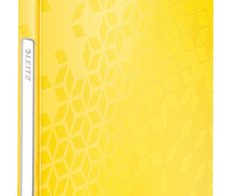 LEITZ Sichtbuch DIN A4 gelb-metallic