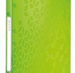 LEITZ Sichtbuch DIN A4 grün-metallic