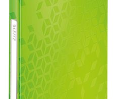 LEITZ Sichtbuch DIN A4 grün-metallic