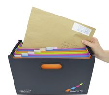 RAPESCO® Fächermappe DIN A4 überbreit 13-Fach  schwarz