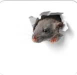 RNK-Verlag Mousepad-Notizblock 24,0 x 22,0 cm weiß/grau