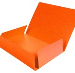 Exacompta Sammelmappen DIN A4 orange