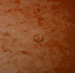 Exacompta Ordnungsmappen DIN A4 7-Fach  orange