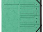 Exacompta Ordnungsmappen DIN A4 12-Fach  grün