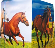 RNK-Verlag Zeichenmappe A3 Pferde