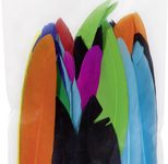 folia Federn mehrfarbig