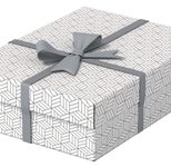 Esselte Aufbewahrungsboxen Home 8,0 l - 26,5 x 36,0 x 10,0 cm weiß