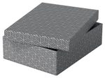 Esselte Aufbewahrungsboxen Home 8,0 l - 26,5 x 36,0 x 10,0 cm grau