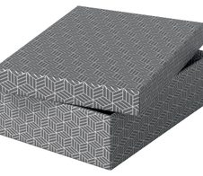 Esselte Aufbewahrungsboxen Home 8,0 l - 26,5 x 36,0 x 10,0 cm grau