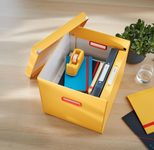 LEITZ Aufbewahrungsbox Click&Store 32,5 l - 32,0 x 36,0 x 31,0 cm gelb