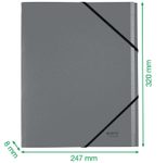 LEITZ Ordnungsmappe DIN A4 12-Fach  rot