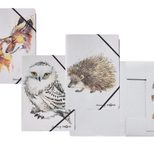 PAGNA Eckspanner Save me DIN A4 Fuchs, Eule, Igel