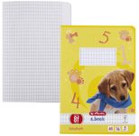 herlitz Schulheft x.book Lineatur 8f rautiert DIN A5