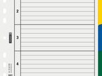 BRUNNEN Ordnerregister Vollformat blanko DIN A4