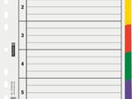 BRUNNEN Ordnerregister Vollformat blanko DIN A4