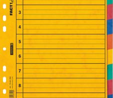 BRUNNEN Ordnerregister Vollformat blanko DIN A4