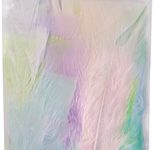 folia Federn mehrfarbig