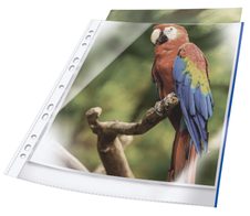 DURABLE Prospekthüllen DIN A4 0.08 mm blau