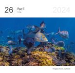 KUNTH Tischkalender Tagesabreißkalender Das Erbe der Welt 2024 Bilder