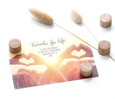 Zeller Magnete Ø 2,2 x 1,5 braun