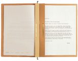 LEITZ Alpha Hängehefter kaufmännische Heftung DIN A4 naturbraun