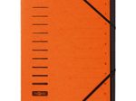 PAGNA Ordnungsmappe DIN A4 12-Fach  orange