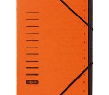 PAGNA Ordnungsmappe DIN A4 12-Fach  orange