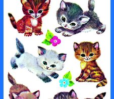 AVERY Zweckform Aufkleber Katzen