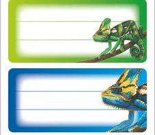 HERMA Schuletiketten Gecko